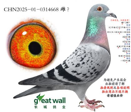 3.������ҫ�����.0314668