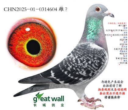 6.��Ŭxͼ��˹Ѫϵ.0314604