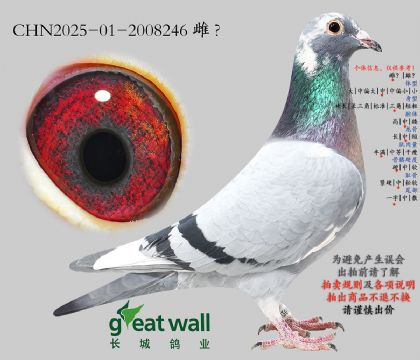 7.��ʱ��x����Ѫϵ.2008246