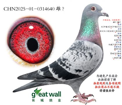 8.�¶�804���.0314640