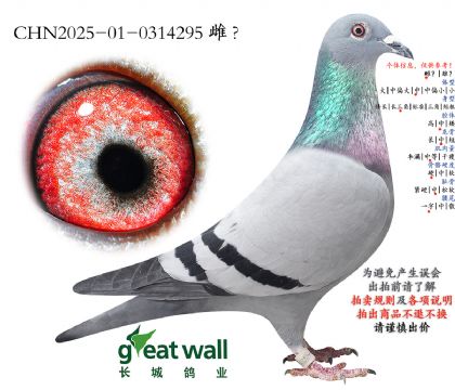 10.������x����.0314295