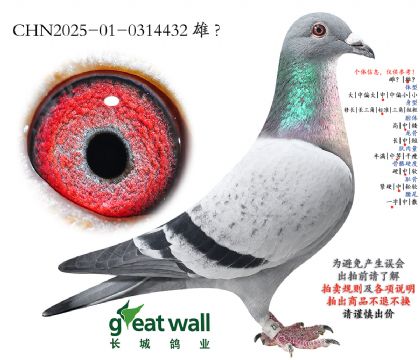 9.��ʱ��x����Ѫϵ.0314432