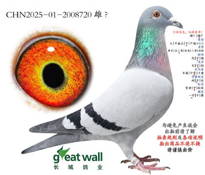 13.��԰����9��ȫƽ��.2008720