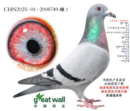 12.�¸��׵����.2008749