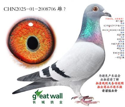 15.���޿���888���.2008706