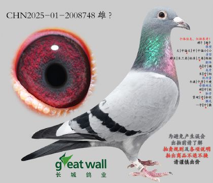 14.����386��ȫƽ��.2008748