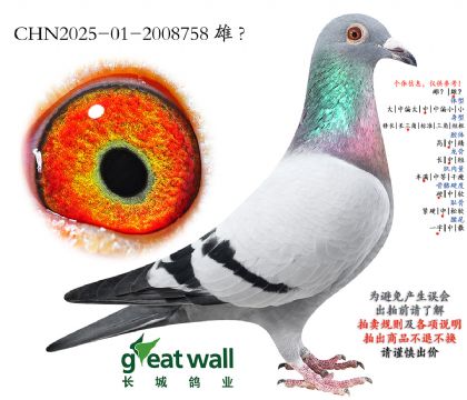 16.�������.2008758