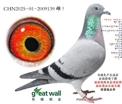 17.���ض�x���Һ�Ѫϵ.2009139