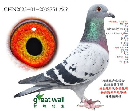 19.ͼ��˹���ؽ�Ѫ.2008751