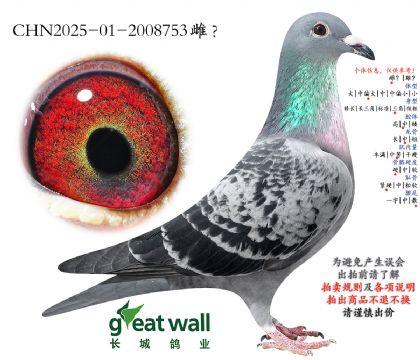 20.�¿��������.2008753