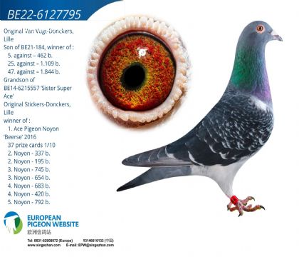 ����˹ԭ�ᡰ����ͷ�ʡ�-6127795