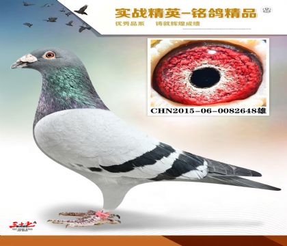 ����ɣ��ʿ   650����8��