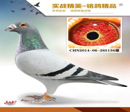 �����ϻ��۸���