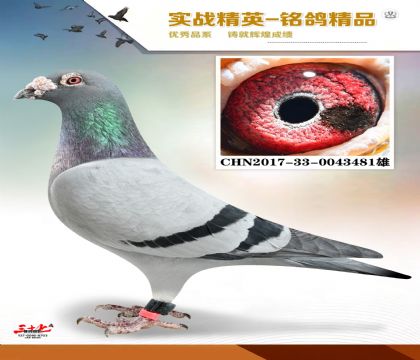 ����ɣ��ʿ