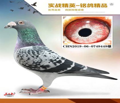 ����ɣ��ʿ ����4��