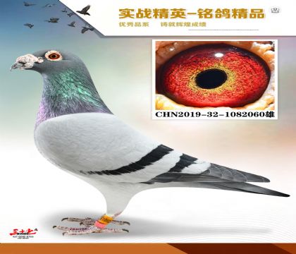 �����ϻ��۷���