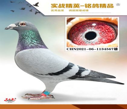 ����ɣ��ʿ   ���׻�Ѫ