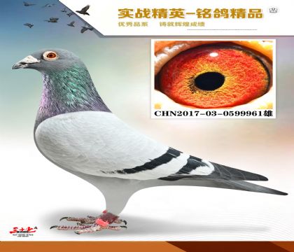 ���ݻԻ͹������24��