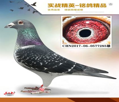 �ں�����ɣ��ʿ