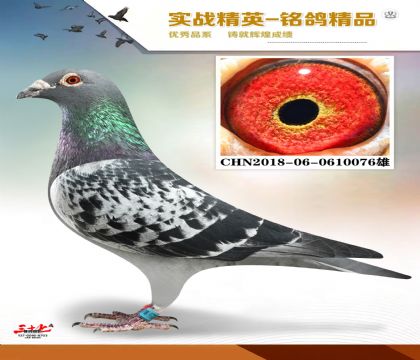 �����ϻ���