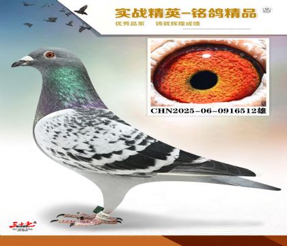 �������귢�ӣ�ɣ��ʿ����