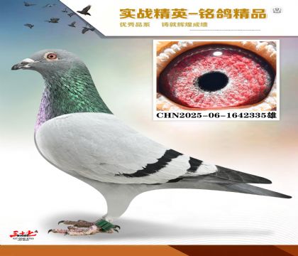 ���ǲ��ˣ�