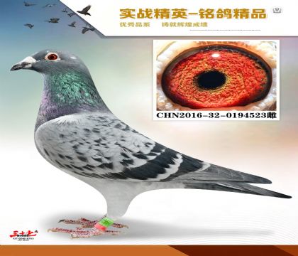 ������ɣ��ʿ   550����ھ�