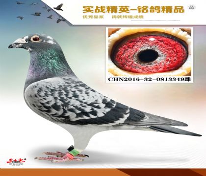 �����   �����ھ�ĸ��