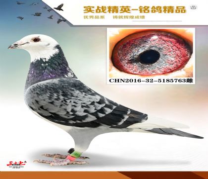 �����  ����