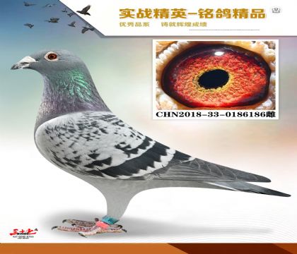 ������ɣ��ʿ