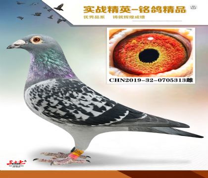 �����ϻ��۷���