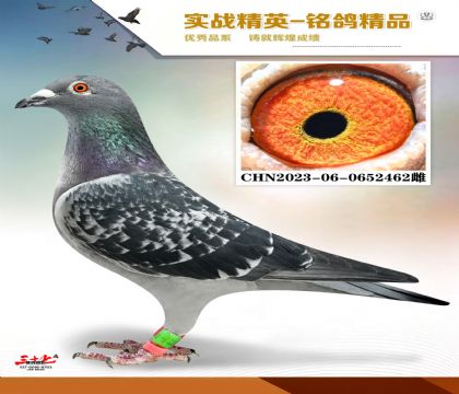 �����ϻ�