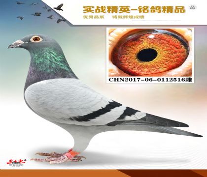 ��������   8��