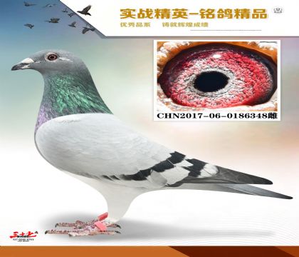 ����ɣ��ʿ   8��