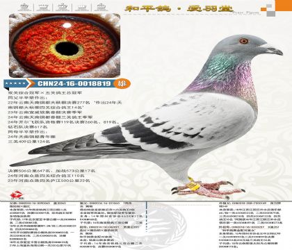 ����(j��)�N�ۣ��w��063���Ӵ��������P(gu��n)��������܊����