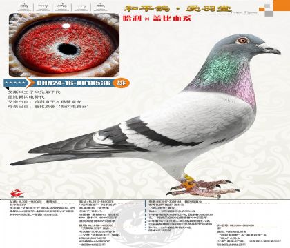 �����������Ź�܊�������w�����W�ֱŮ