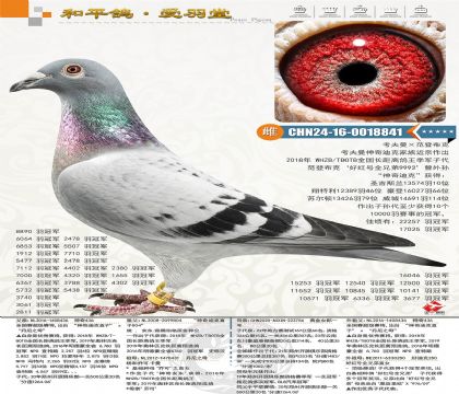 ����Ͽ˼��������mȫ��(gu��)�L(zh��ng)���x������܊�Ӵ����䷶�ǲ���9992