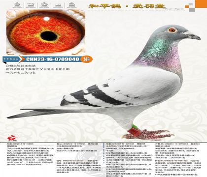 ����������P(gu��n)��܊������܊ͬ�����ֵܣ��ہ������A(y��)12������Ӵ�