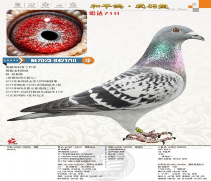 ȫ��(gu��)��܊���¸ҹ�����ֱ�O������������H