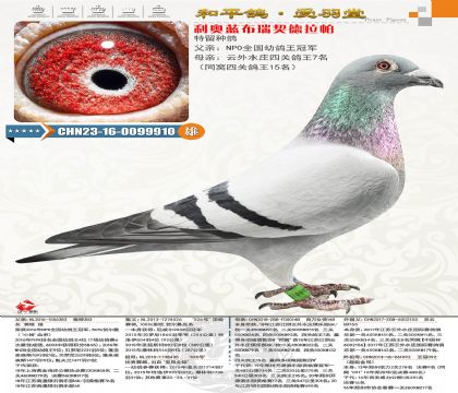 ���WѪϵ�����mȫ��(gu��)�ٶ�������܊�����أ��Ӵ������H�¸��ذ��ֵ�