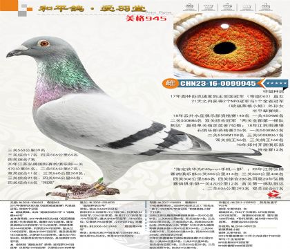 �W��ƥ���ٶ�������܊�����E063���Ӵ����W�߿�С����OŮ