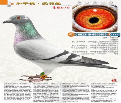 ���|����˹Ѫϵ�����ǲ���Ѫϵ���ؠ�ƽ݅������܊����܊��