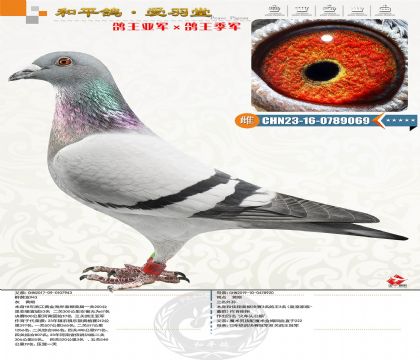 ����������܊������������܊