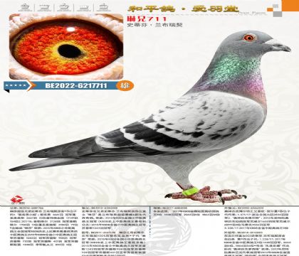 �{(l��n)������ԭ�ᣬKBDBʡِ�����ٶ�����5λ�Ӵ�