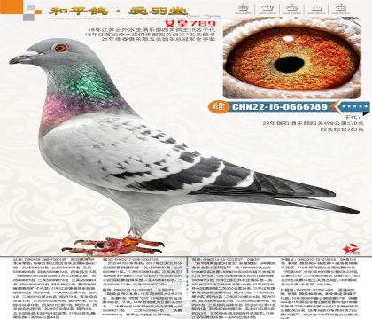 �´����P(gu��n)��������܊ȫ�����ȫƽ݅���������~���Qِ71��40��