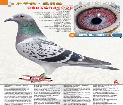 ���W���{(l��n)�������������p�P(gu��n)�C�Ϲ�܊ȫ�����ƽ݅25���_��668