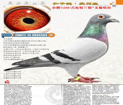 �������P(gu��n)������܊���W�߿�С����Ů��������B(y��ng)���������