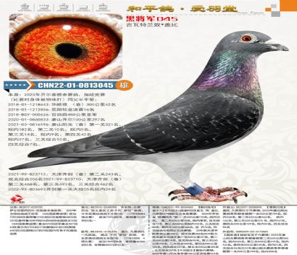 �_���Ӵ����_��(chu��ng)���P(gu��n)�C��76���Ӵ����_��Ư���W늡���������O