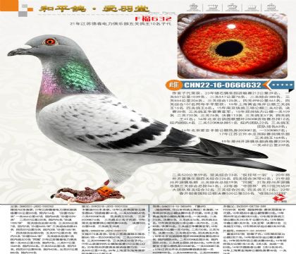 �´����P(gu��n)����ʮ��Fϲ690�Ӵ��������Ӵ��yʯ���P(gu��n)�C��107λ