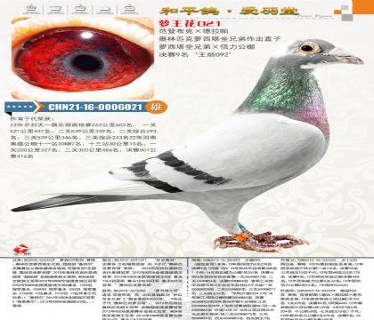 ���ǲ���Ѫϵ�����H���ԊW��ƥ���}�����H�ֵ������ؠ��H�˾�